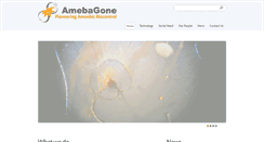 Desktop Screenshot of amebagone.com