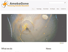 Tablet Screenshot of amebagone.com
